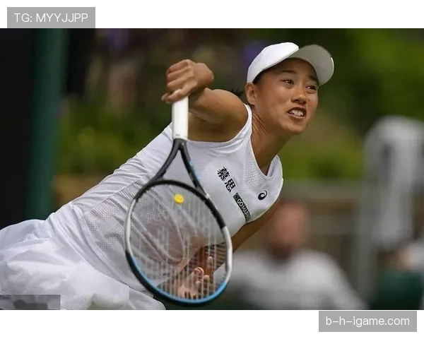 张帅这生活,打球像打怪升级,钱包厚得让人心疼真人秀都没法比 张帅这生活,打球像打怪升级,钱包厚得让人心疼真人秀都没法比